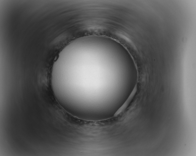 X0000088870869200706151752