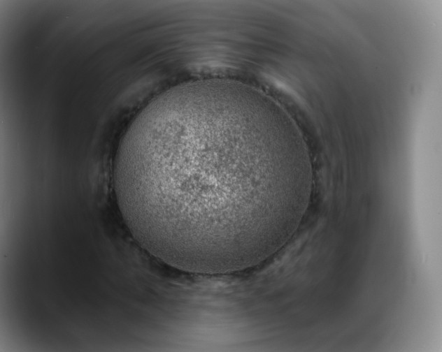 X0000088870870200706151752