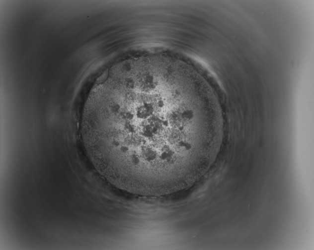X0000088870871200706151752