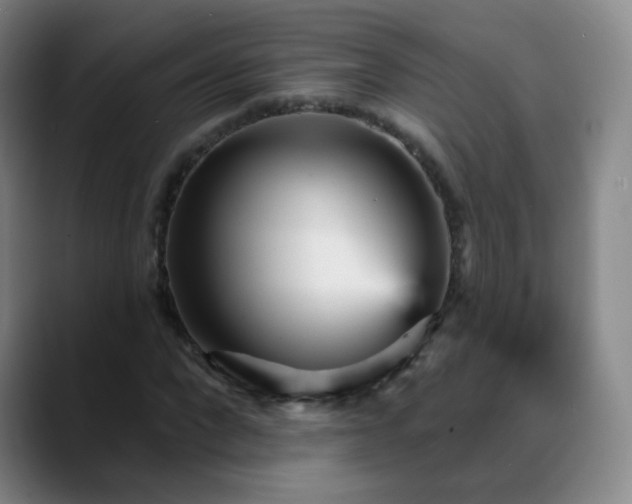 X0000088870872200706151752