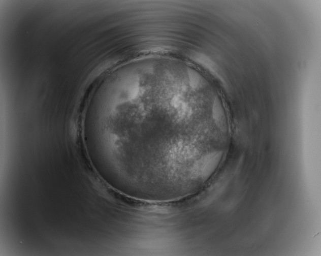 X0000088870874200706151752