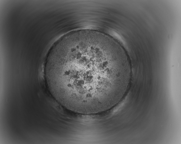 X0000088870875200706151752