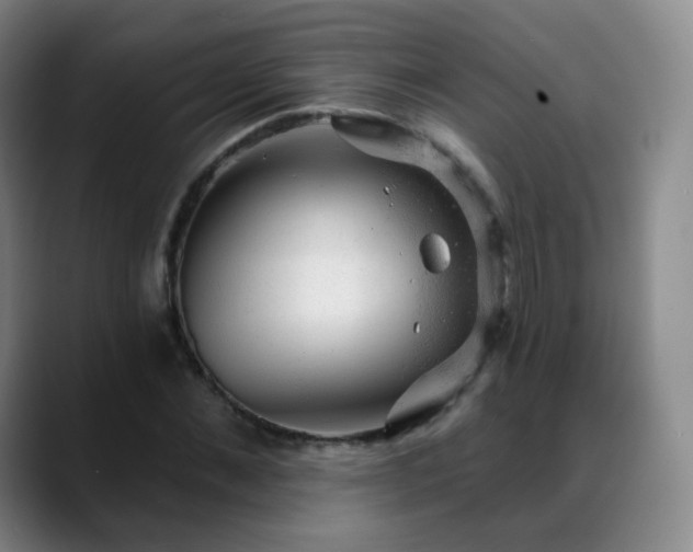 X0000088870876200706151751