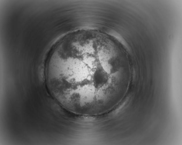 X0000088870878200706151751
