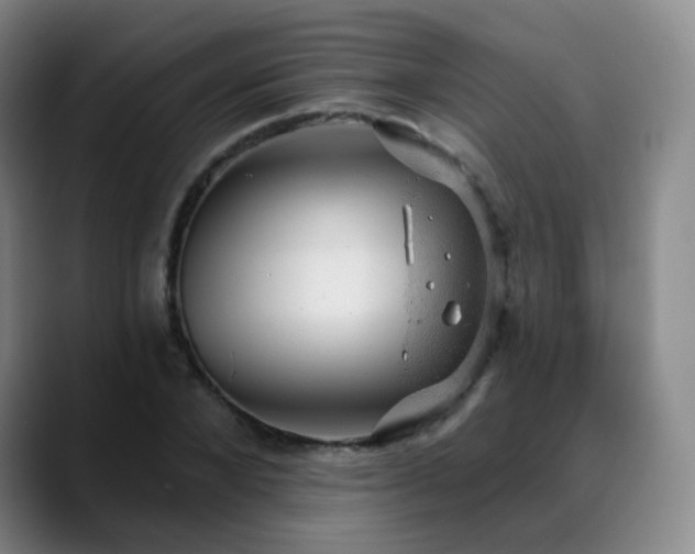 X0000088870880200706151751