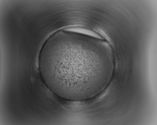 X0000088870883200706151751
