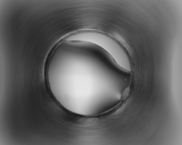 X0000088870884200706151751