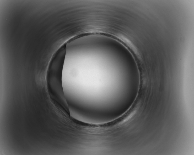 X0000088870885200706151751