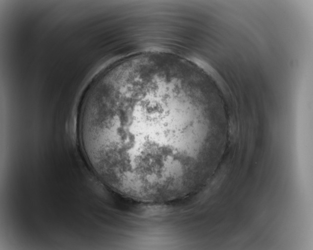 X0000088870886200706151751