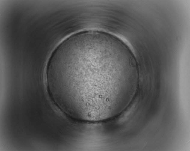 X0000088870887200706151751