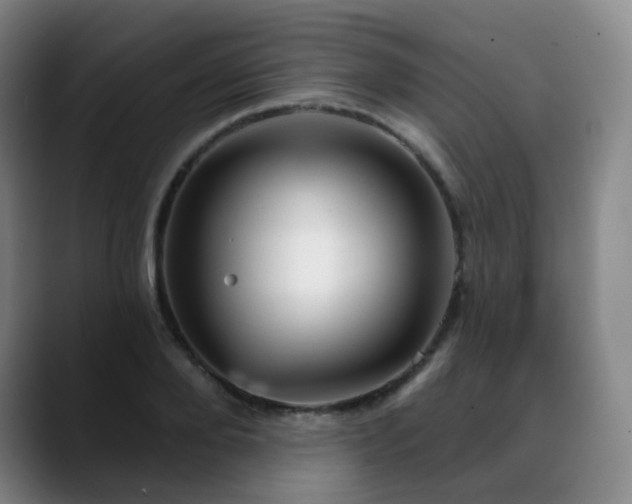 X0000088870888200706151751