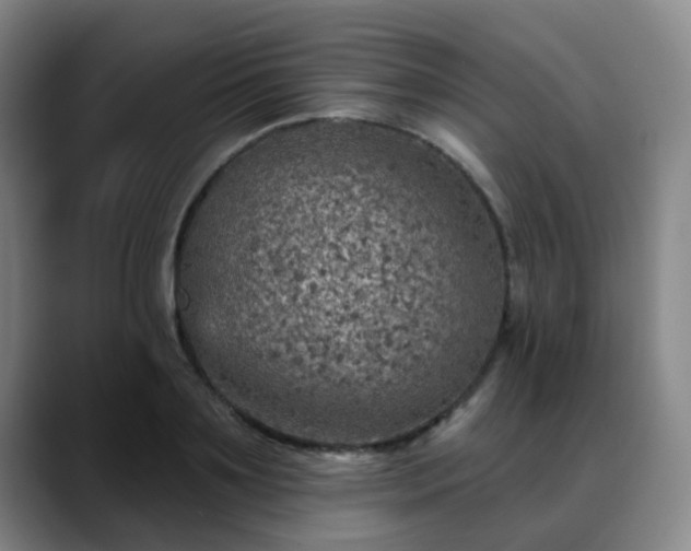 X0000088870891200706151751