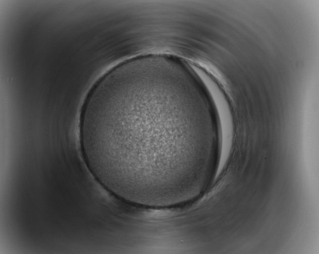X0000088870894200706151751