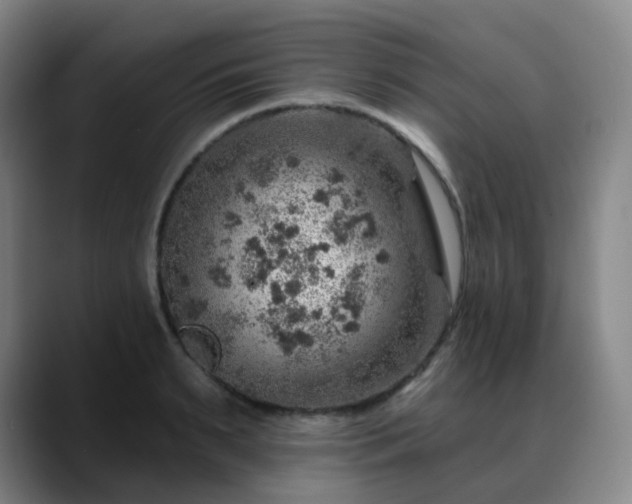 X0000088870895200706151751