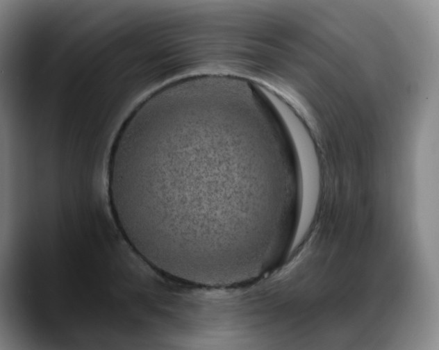 X0000088870896200706151751