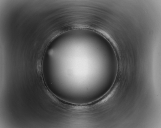 X0000088870897200706151751