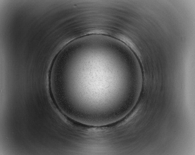 X0000088870898200706151751