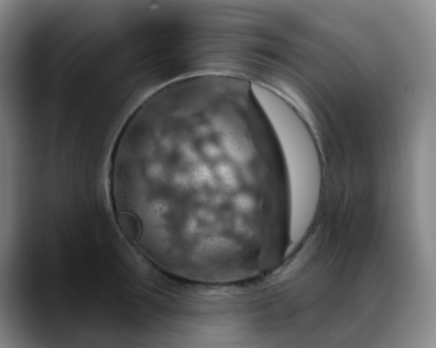 X0000088870899200706151751
