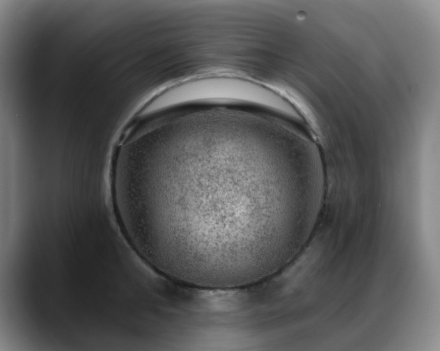 X0000088870902200706151751