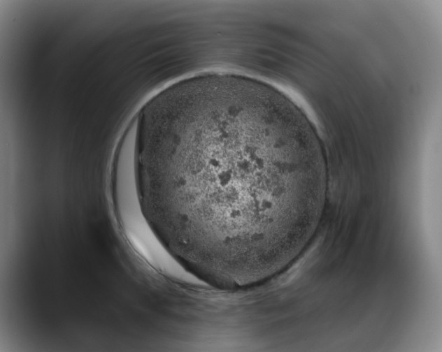 X0000088870903200706151751