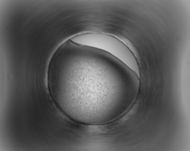 X0000088870904200706151751