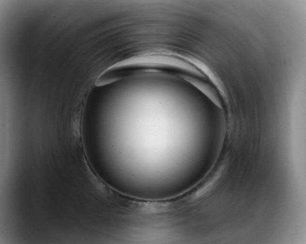 X0000088870905200706151751
