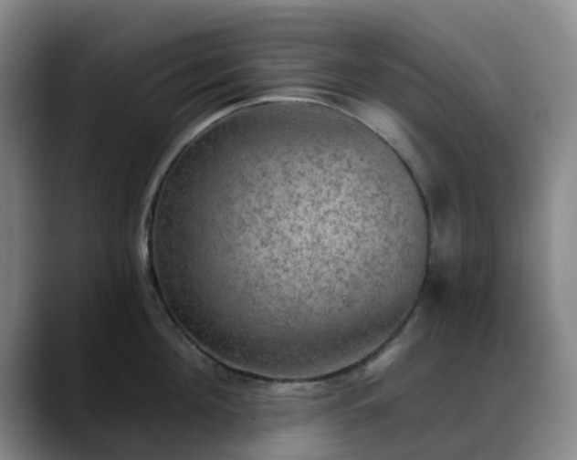 X0000088870908200706151751