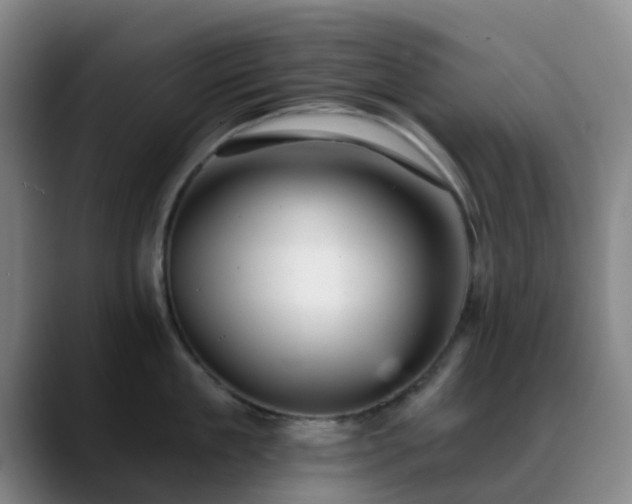 X0000088870909200706151751
