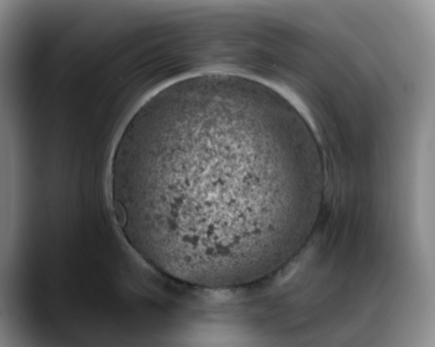 X0000088870911200706151751