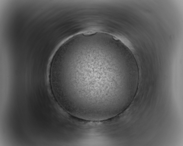 X0000088870912200706151751