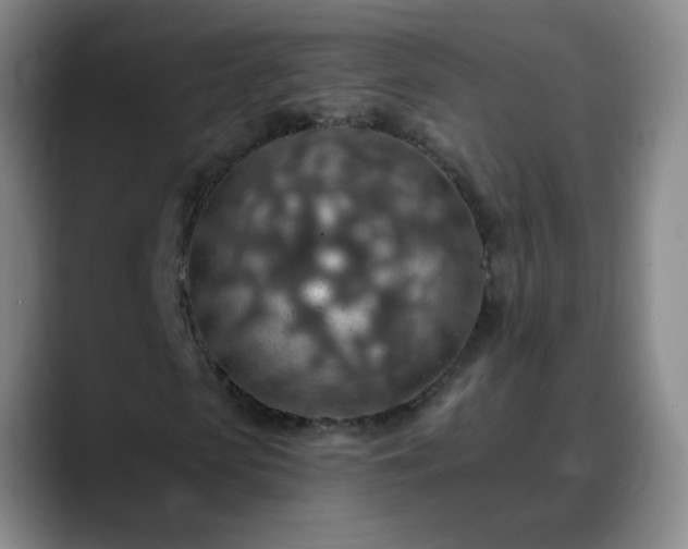 X0000088870913200706151751