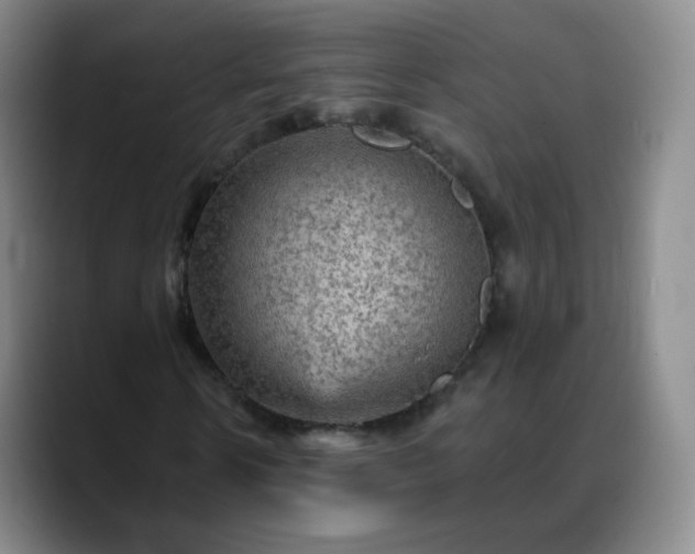 X0000088870914200706151751