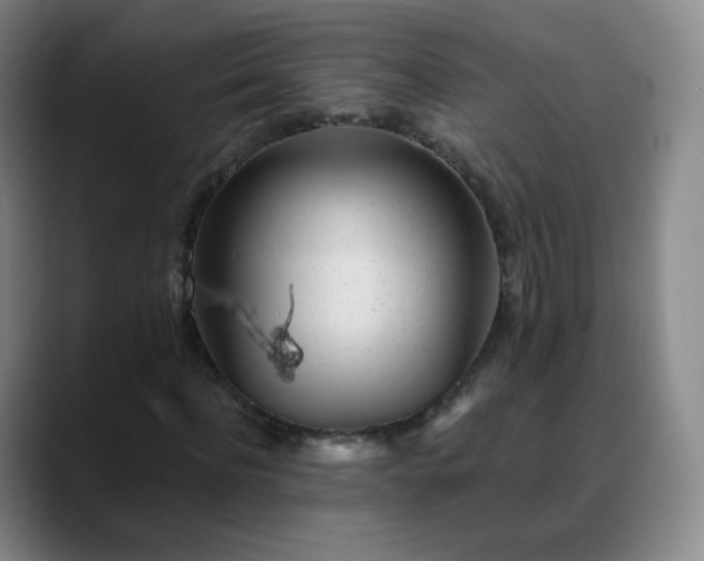 X0000088870916200706151751