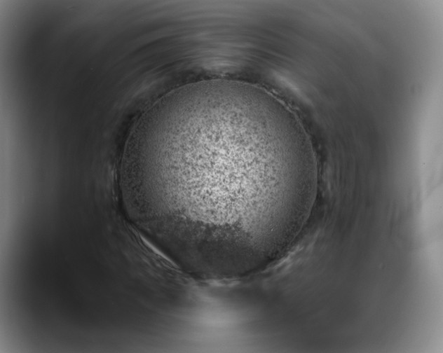 X0000088870917200706151751