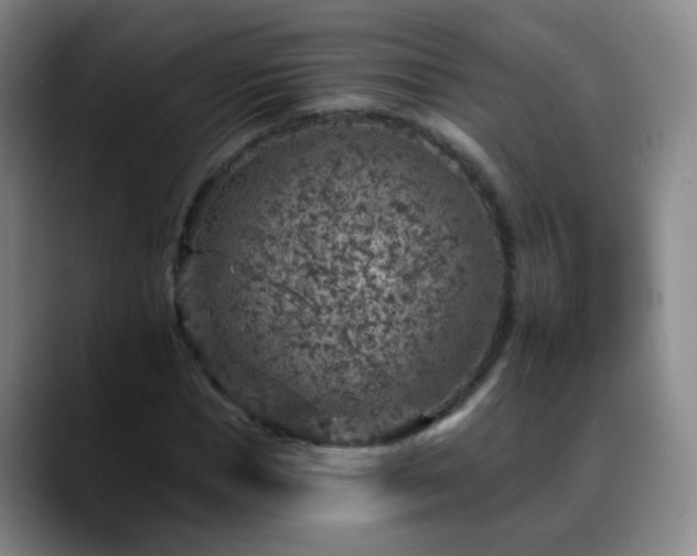 X0000088870921200706151751