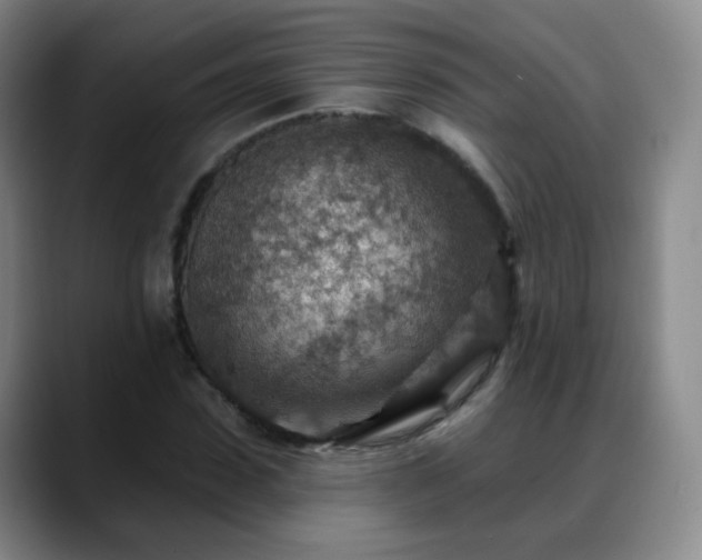 X0000088870923200706151751