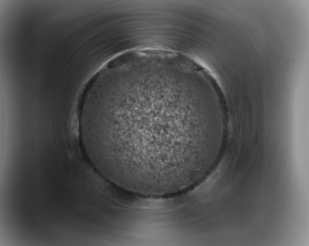 X0000088870925200706151751