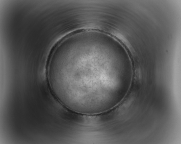 X0000088870928200706151751