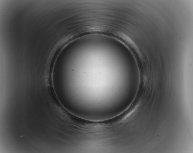 X0000088870930200706151751