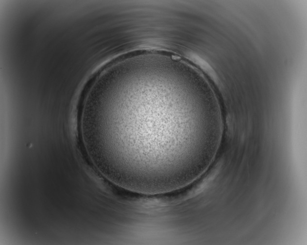 X0000088870931200706151751