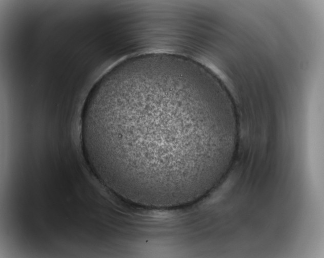 X0000088870933200706151751