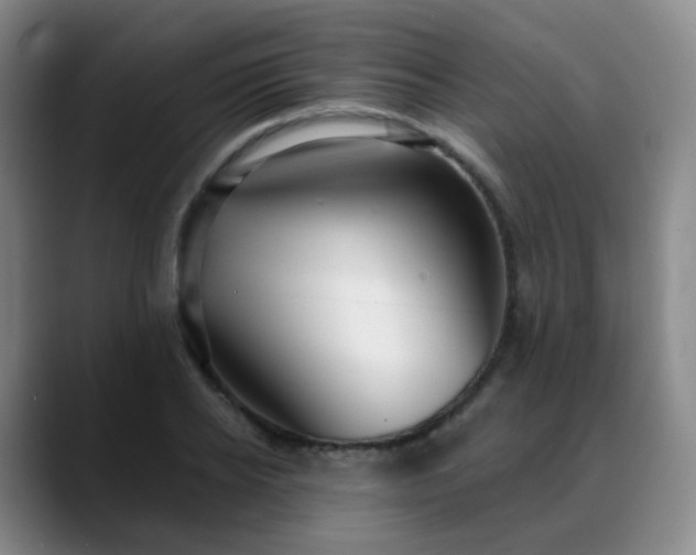 X0000088870934200706151751
