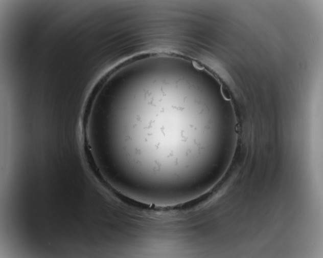 X0000088870936200706151751