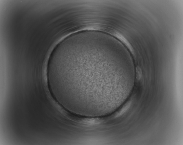 X0000088870939200706151751