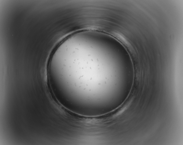 X0000088870940200706151751