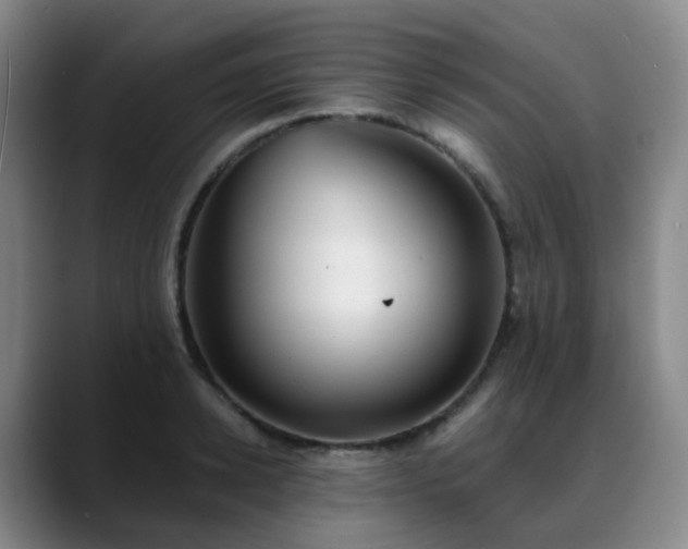 X0000088870942200706151751