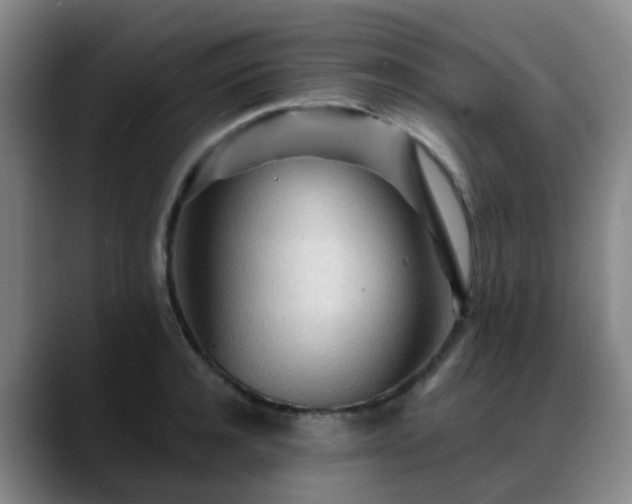 X0000088870944200706151751