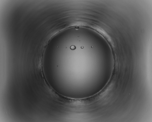 X0000088870945200706151751