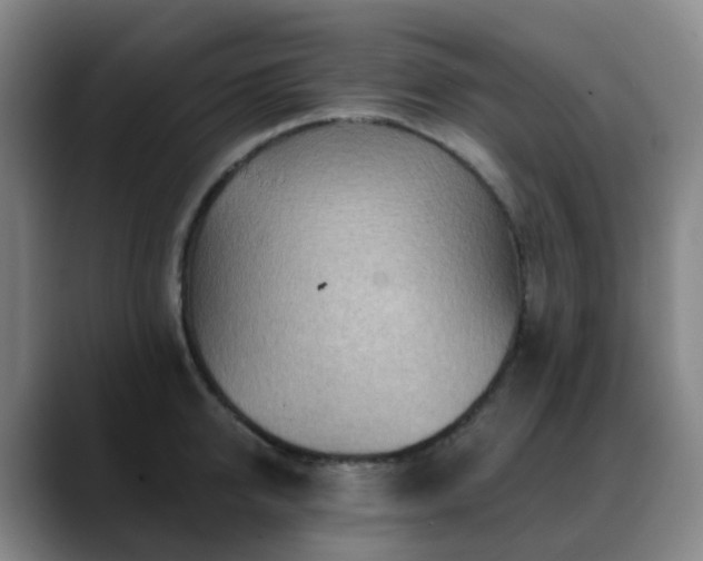 X0000088870950200706151751
