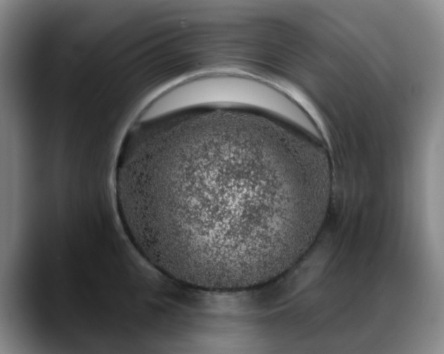 X0000088870951200706151751